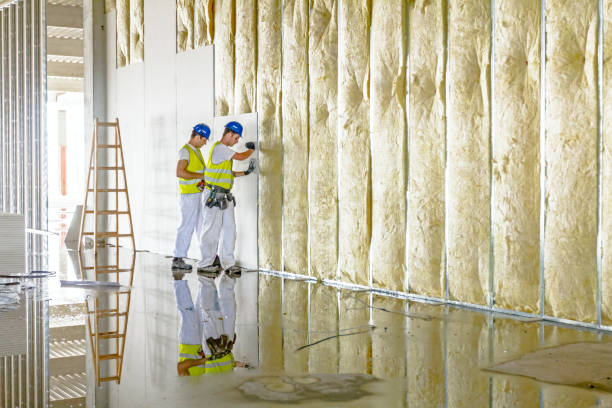 Best Commercial Insulation in White City, FL